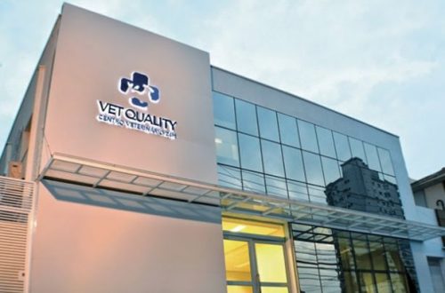 vet-quality-centro-veterinario-24h-2_xl